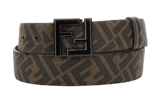 FENDI BELT ( 6 COLOURWAYS )