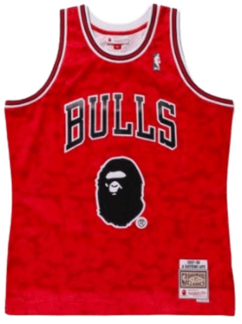 BAPE X CHICAGO BULLS JERSEY